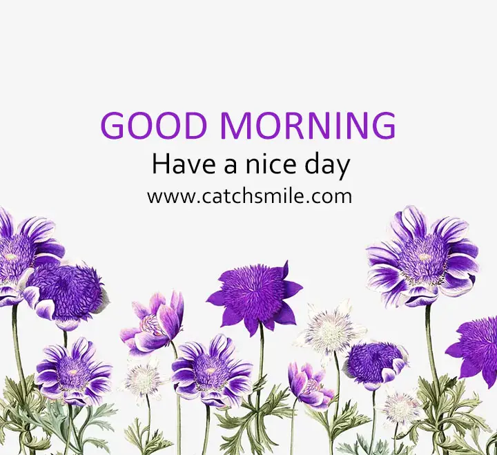 Good Morning Have a nice day Catch Smile