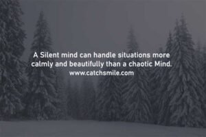 A Silent mind can handle situations more calmly and beautifully than a chaotic Mind.
