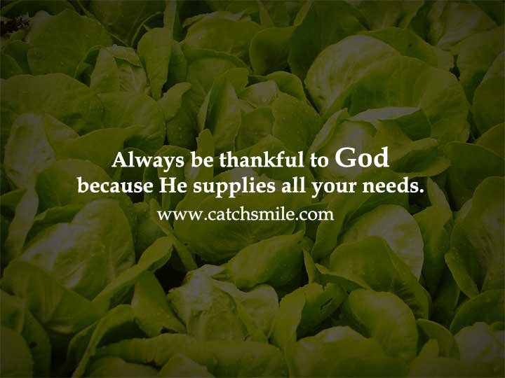 Always be thankful to God because He supplies all your needs.
