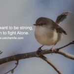 If you want to be strong, Learn to fight Alone.