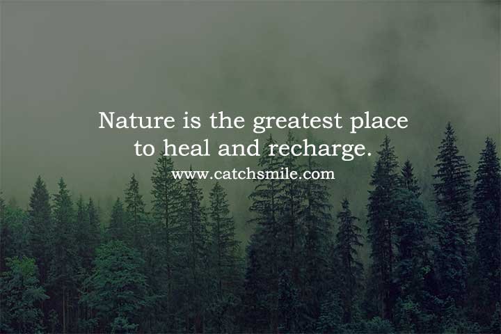 Nature is the greatest place to heal and recharge.