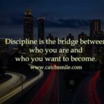 Discipline is the bridge between who you are and who you want to become.