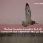 The best thing about speaking the truth is you don't have to remember what you said.