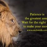 patience is the greatest asset. Wait for the right time to make your moves.