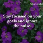 Stay focused on your goals and ignore the noise.