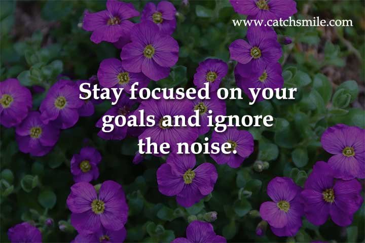 Stay focused on your goals and ignore the noise.