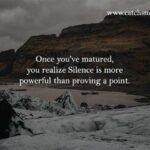 once you've matured, you realize Silence is more powerful than proving a point.