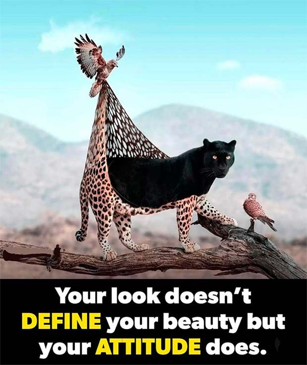 Your look doesn't define your beauty but your attitude does