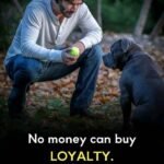 No money can buy loyalty