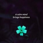 A calm mind brings happiness