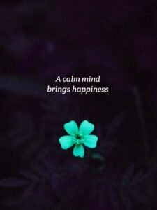 A calm mind brings happiness