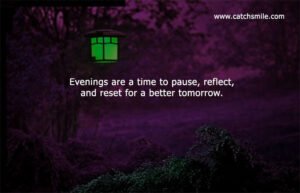 Evenings are a time to pause, reflect, and reset for a better tomorrow.