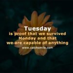 Tuesday is proof that we survived Monday and that we are capable of anything