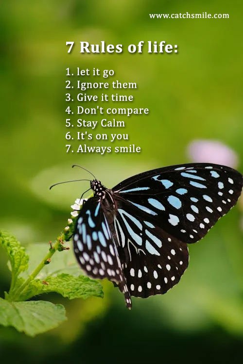 7 Rules of life: 1. let it go 2. Ignore them 3. Give it time 4. Don't compare 5. Stay Calm 6. It's on you 7. Always smile