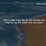 Don't judge each day by the harvest you reap but by the seeds that you plant.