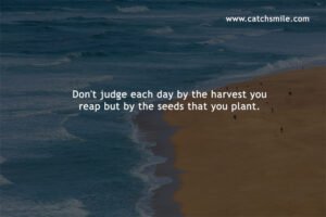 Don't judge each day by the harvest you reap but by the seeds that you plant.