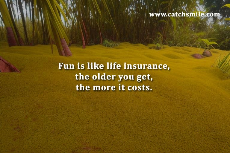 Fun is like life insurance, the older you get, the more it costs.