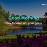 Good Morning - Stay focused on your goals