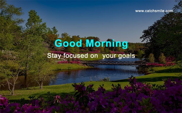 Good Morning - Stay focused on your goals