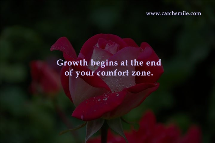 Growth begins at the end of your comfort zone.