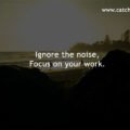 Ignore the noise, Focus on your work.