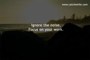 Ignore the noise, Focus on your work.