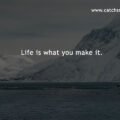 Life is what you make it.