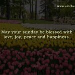 May your sunday be blessed with love, joy, peace and happiness.