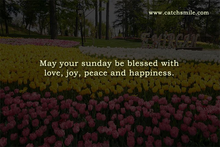 May your sunday be blessed with love, joy, peace and happiness.