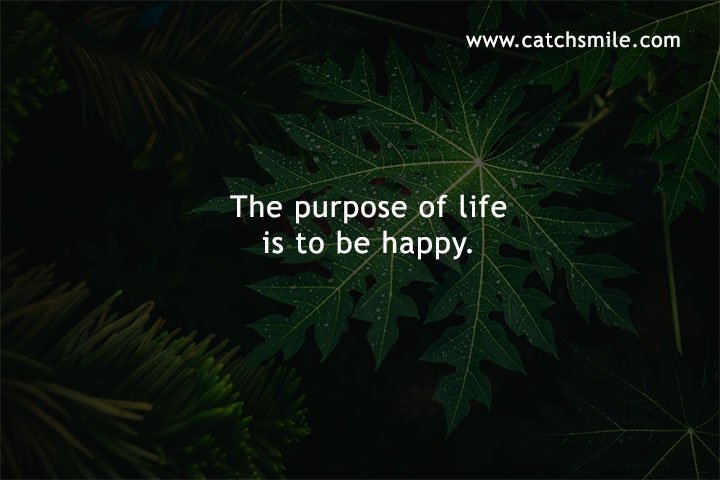 The purpose of life is to be happy.