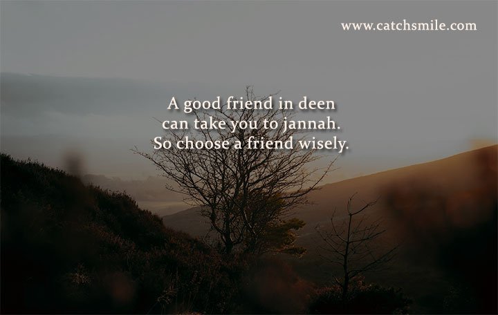 A good friend in deen can take you to jannah. So choose a friend wisely.