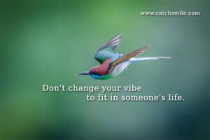 Don't change your vibe to fit in someone's life.