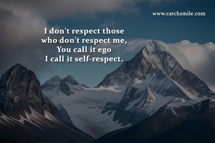 I don't respect those who don't respect me, You call it ego I call it self-respect.