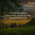 It does not matter how slowly you go as long as you do not stop.