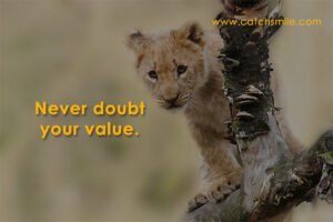 Never doubt your value.