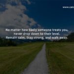 No matter how badly someone treats you, never drop down to their level. Remain calm, Stay strong, and walk away.