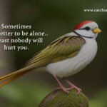 Sometimes it is better to be alone.. Atleast nobody will hurt you.