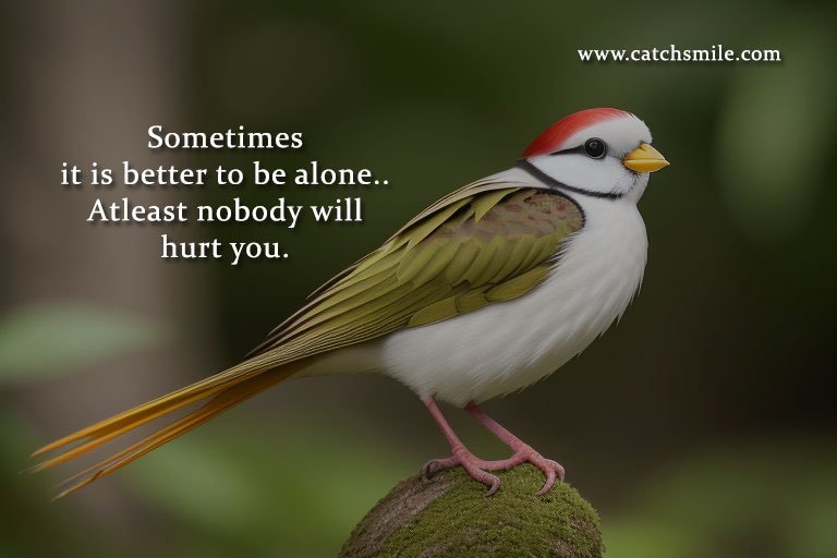 Sometimes it is better to be alone.. Atleast nobody will hurt you.