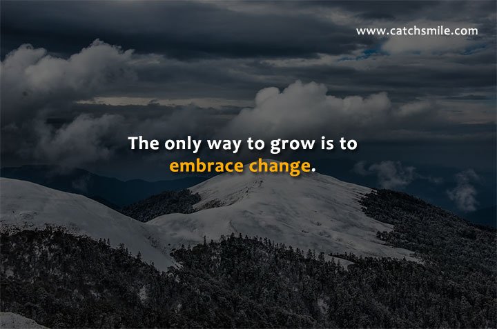 The only way to grow is to embrace change.