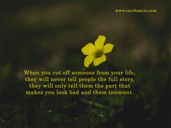 When you cut off someone from your life, they will never tell people the full story, they will only tell them the part that makes you look bad and them innocent.