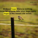 without hope there is nothing. Never let anyone take your hope away. Hope is the reason life exists.