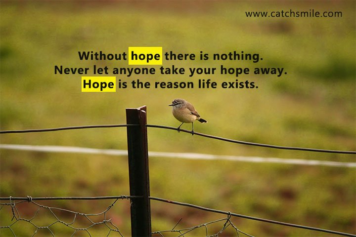 without hope there is nothing. Never let anyone take your hope away. Hope is the reason life exists.