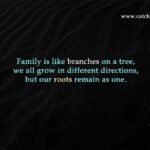 Family is like branches on a tree, we all grow in different directions, but our roots remain as one.