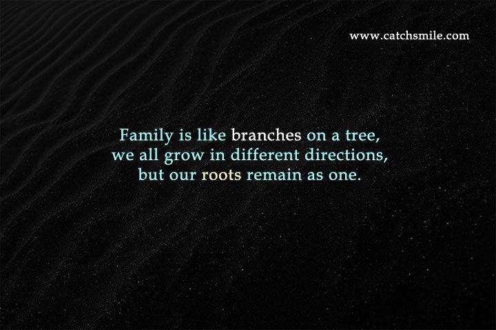 Family is like branches on a tree, we all grow in different directions, but our roots remain as one.