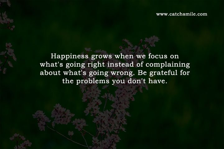 Happiness grows when we focus