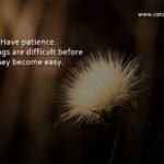 Have patience. All things are difficult before they become easy.