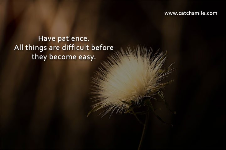 Have patience. All things are difficult before they become easy.