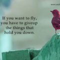 If you want to fly, you have to giveup the things that hold you down.