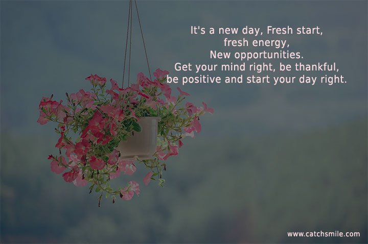 It's a new day, Fresh start, fresh energy, New opportunities. Get your mind right, be thankful, be positive and start your day right.