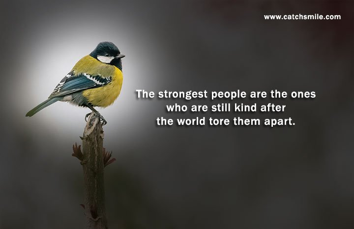 The strongest people are the ones who are still kind after the world tore them apart.